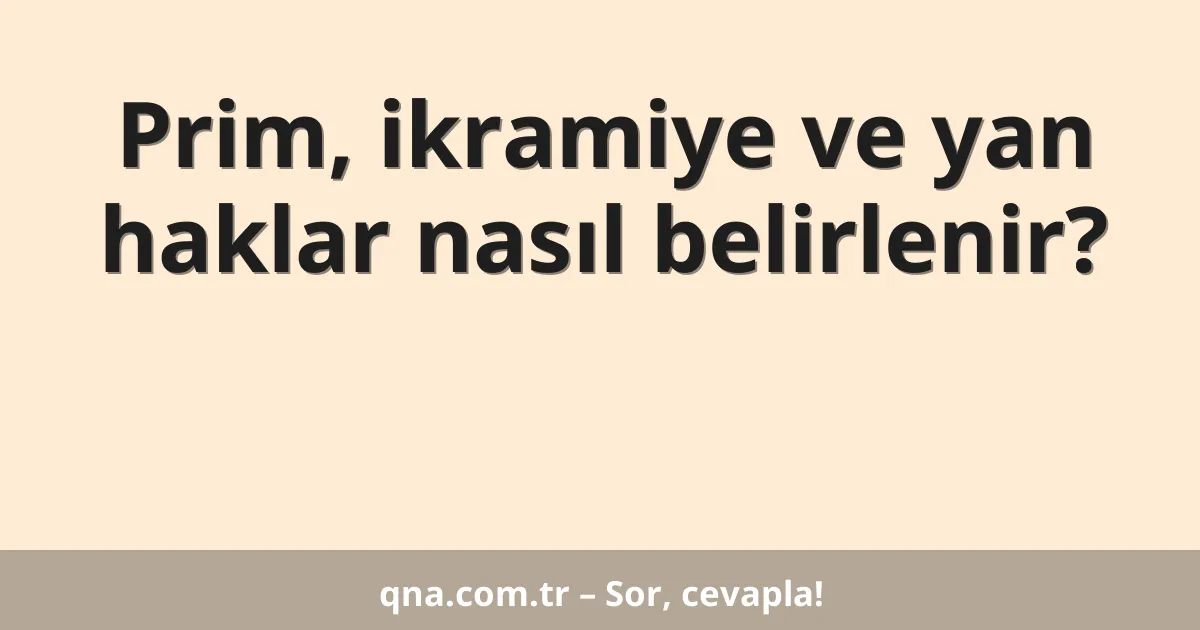 Prim, ikramiye ve yan haklar nasıl belirlenir?