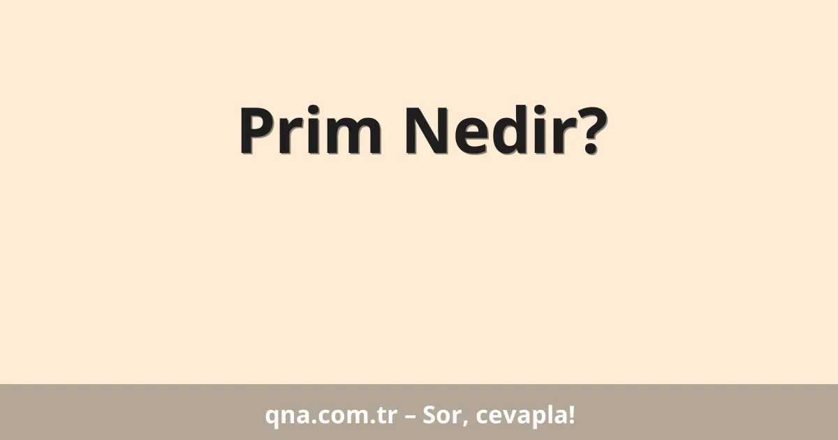 Prim Nedir?