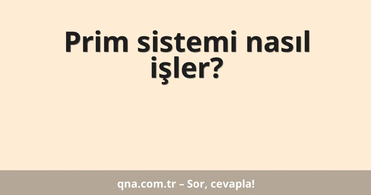 Prim sistemi nasıl işler?