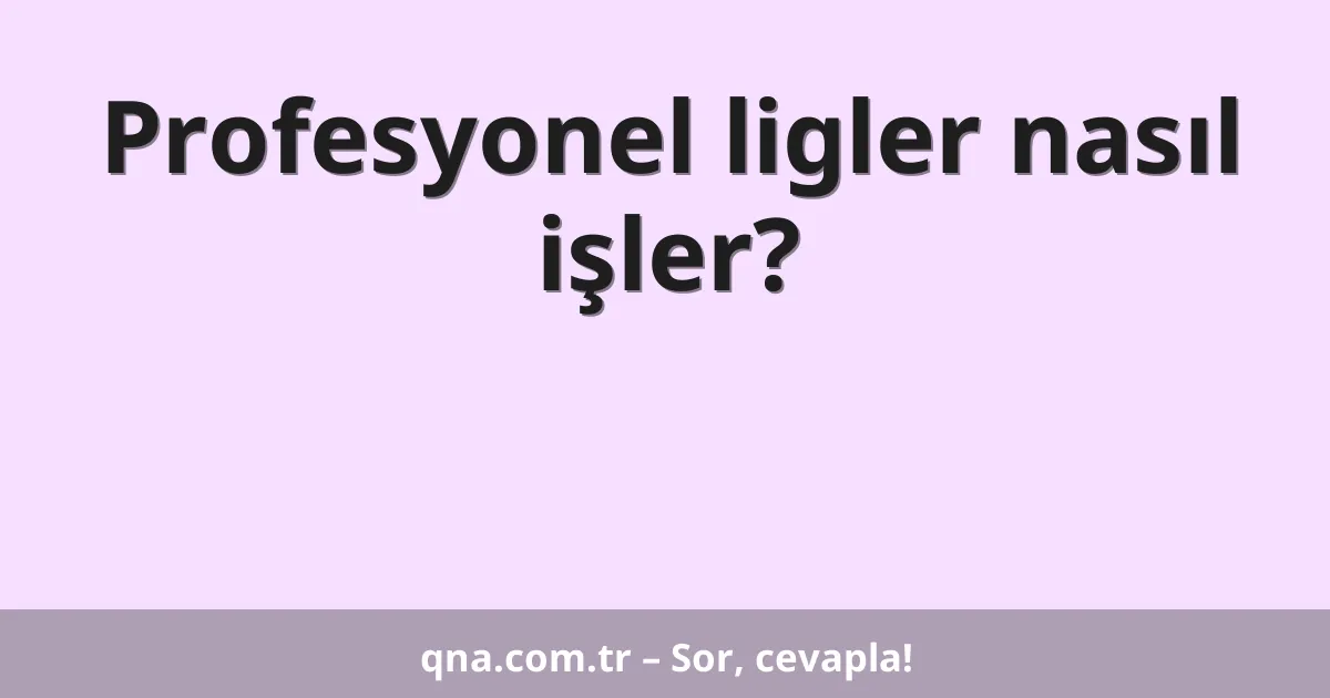 Profesyonel ligler nasıl işler?