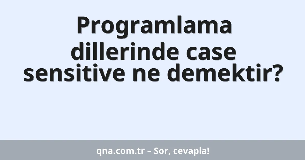 Programlama dillerinde case sensitive ne demektir?