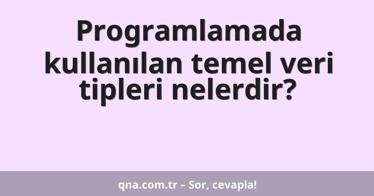 Programlamada kullanılan temel veri tipleri nelerdir?