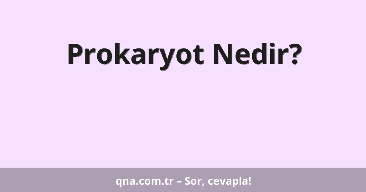 Prokaryot Nedir?