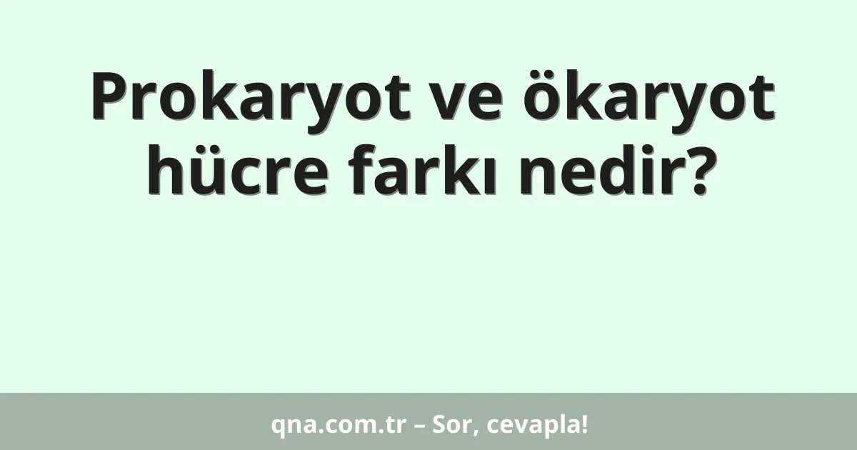 Prokaryot ve ökaryot hücre farkı nedir?