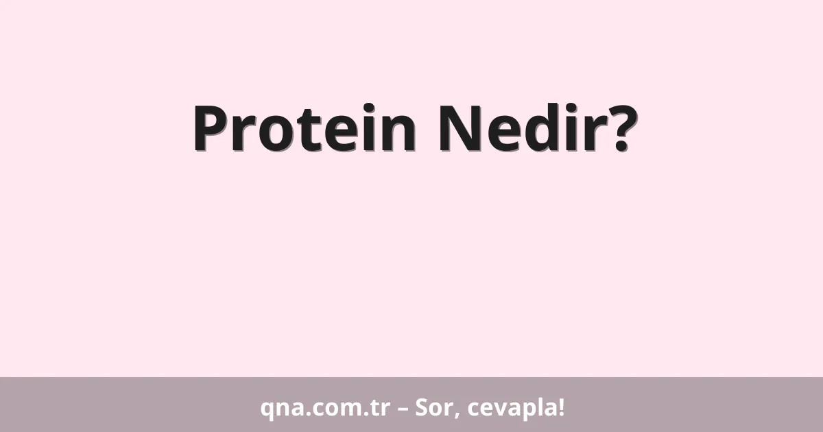 Protein Nedir?