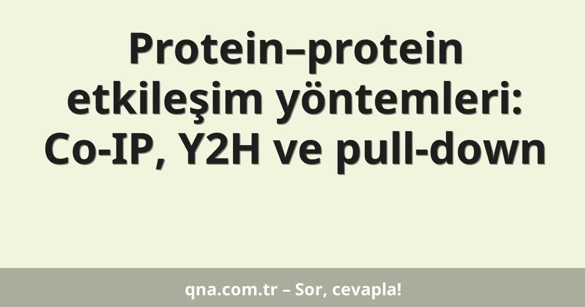 Protein–protein etkileşim yöntemleri: Co-IP, Y2H ve pull-down