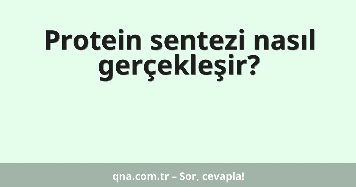 Protein sentezi nasıl gerçekleşir?