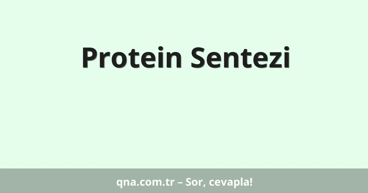 Protein Sentezi
