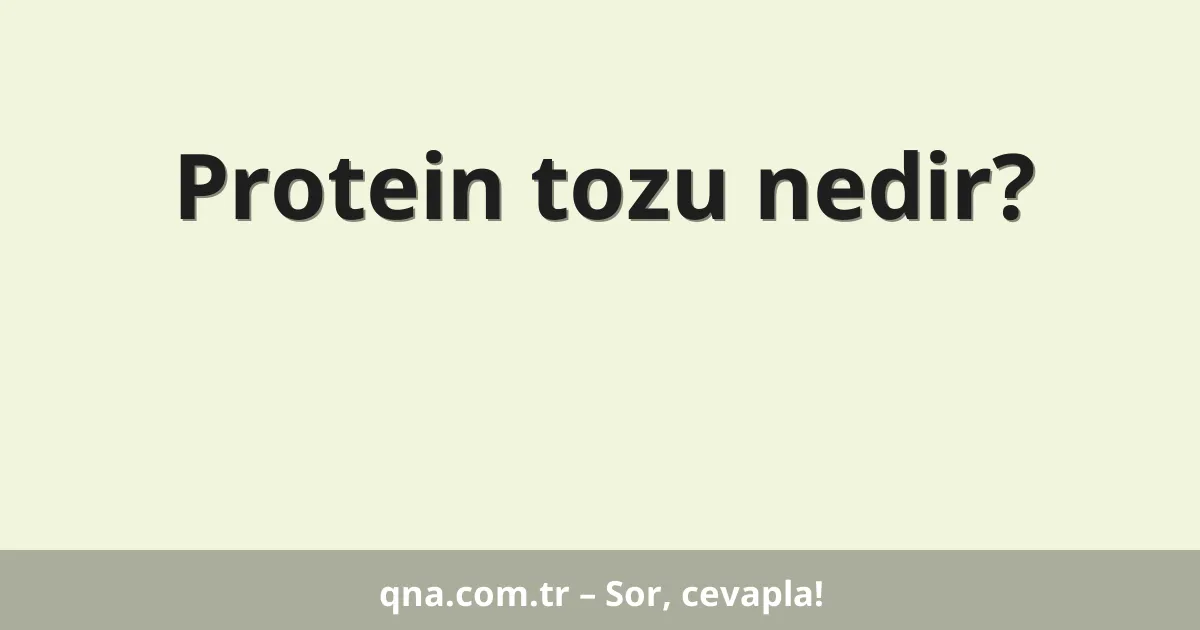 Protein tozu nedir?