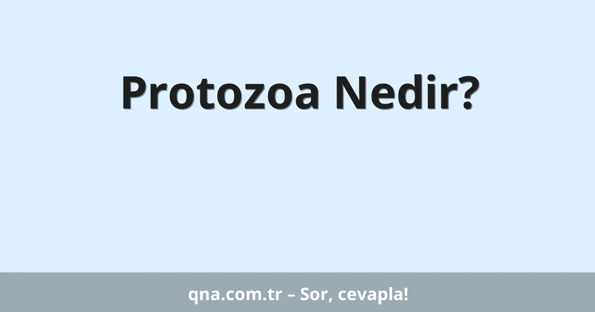 Protozoa Nedir?