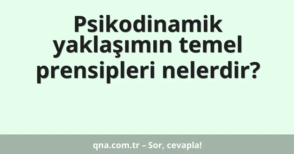 Psikodinamik yaklaşımın temel prensipleri nelerdir?