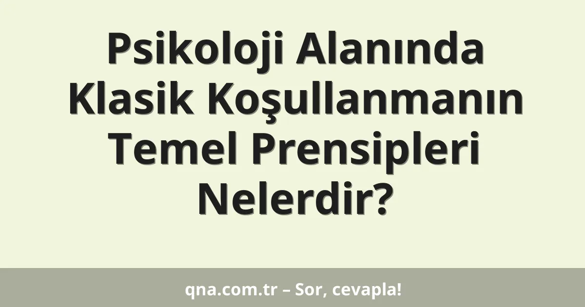 Psikoloji Alanında Klasik Koşullanmanın Temel Prensipleri Nelerdir?