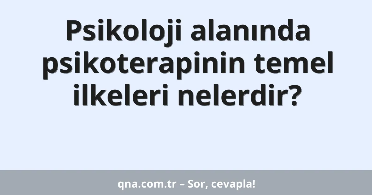 Psikoloji alanında psikoterapinin temel ilkeleri nelerdir?