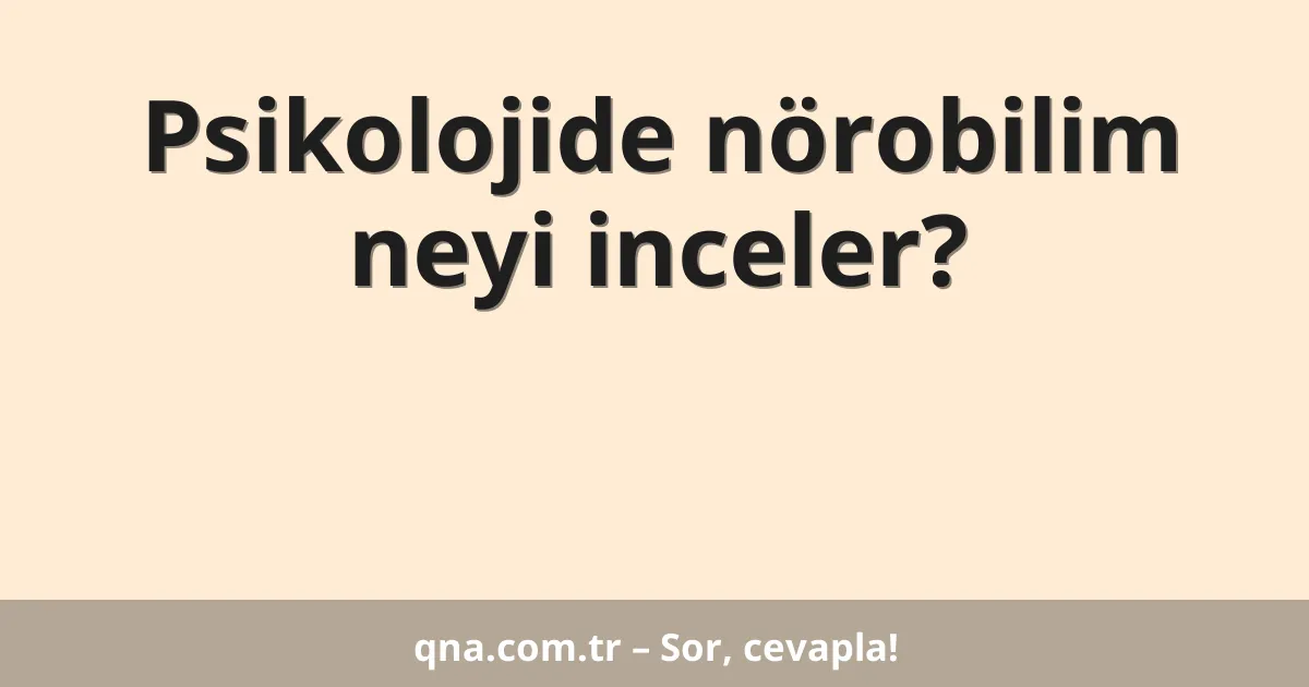 Psikolojide nörobilim neyi inceler?