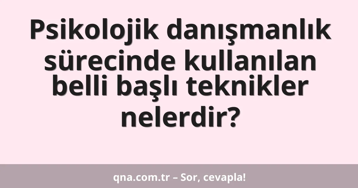 Psikolojik danışmanlık sürecinde kullanılan belli başlı teknikler nelerdir?