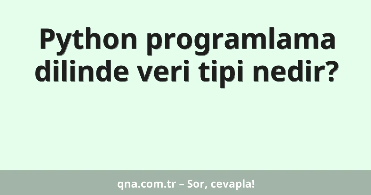 Python programlama dilinde veri tipi nedir?