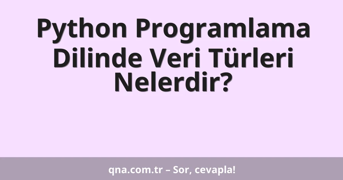 Python Programlama Dilinde Veri Türleri Nelerdir?