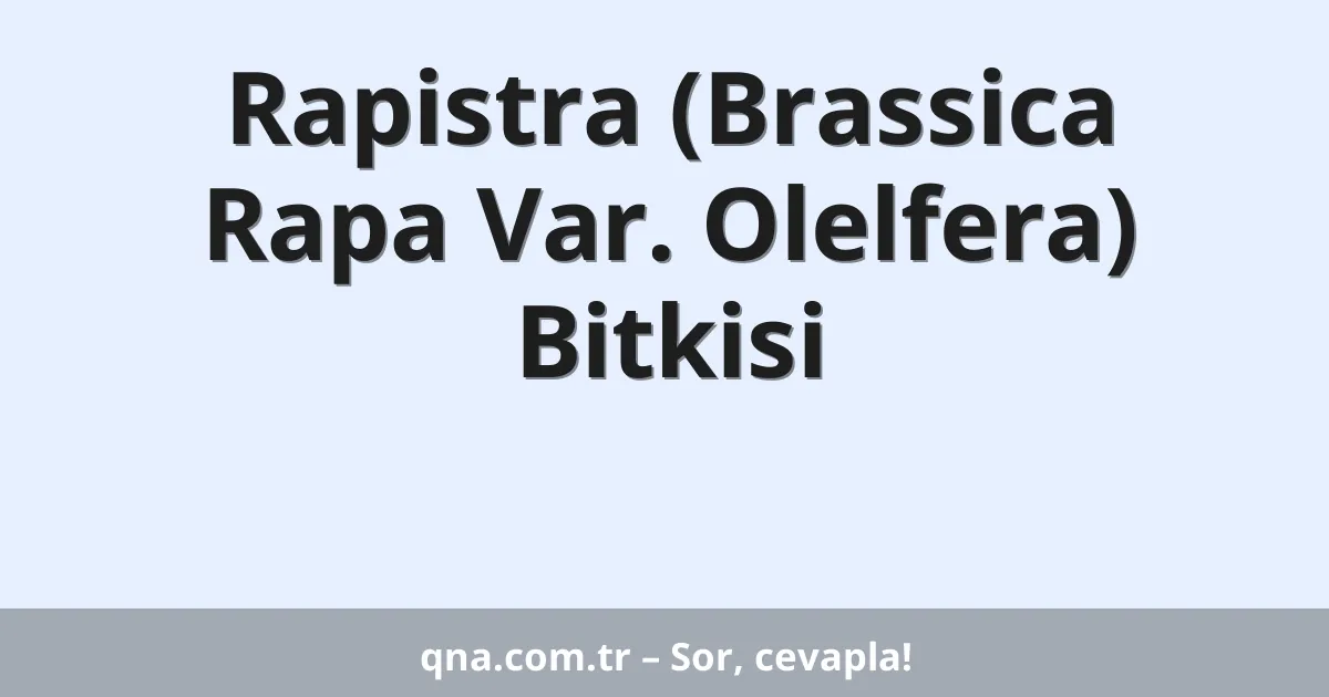 Rapistra (Brassica Rapa Var. Olelfera) Bitkisi