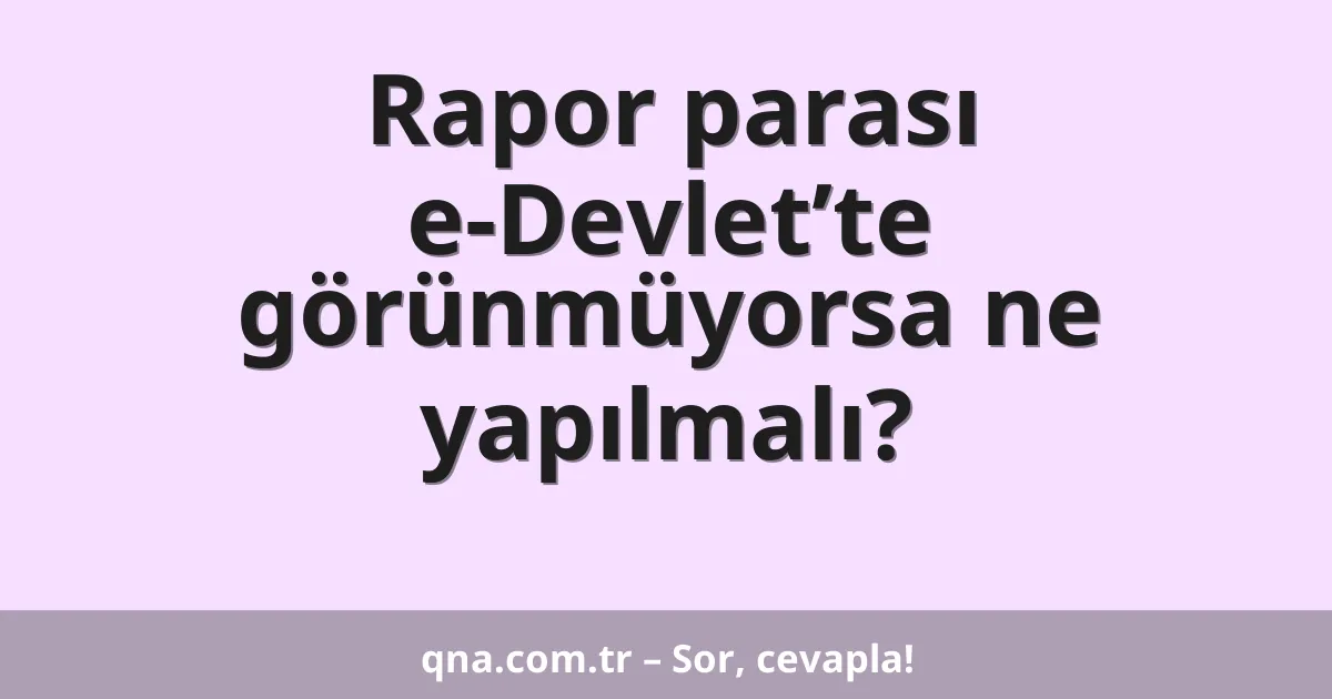 Rapor parası e-Devlet’te görünmüyorsa ne yapılmalı?