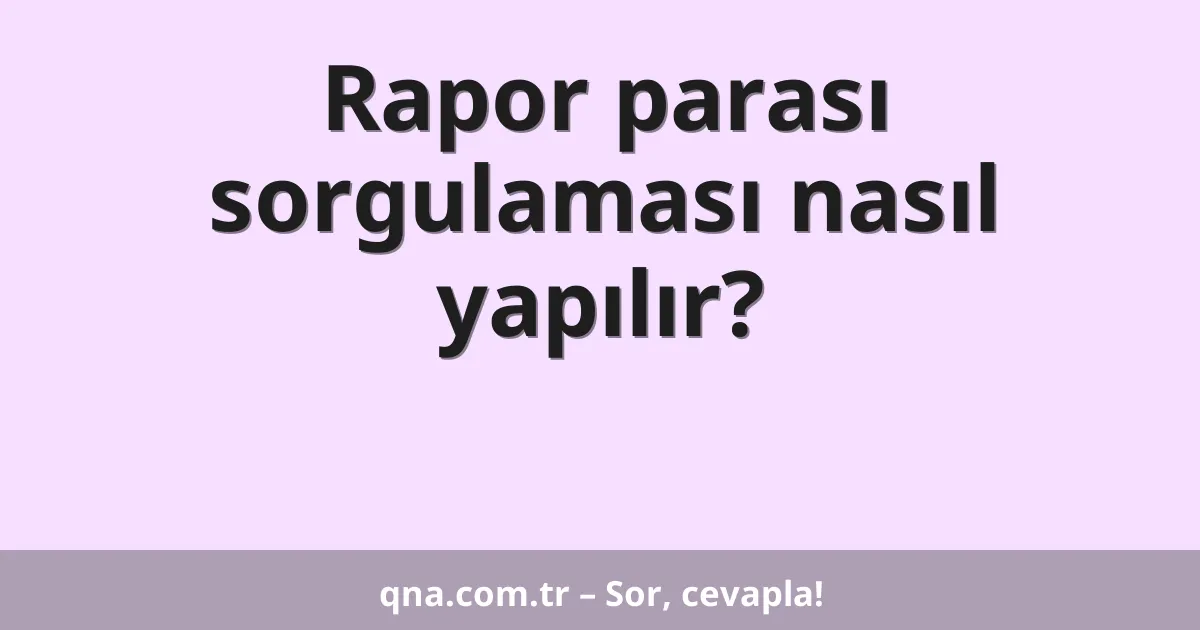 Rapor parası sorgulaması nasıl yapılır?