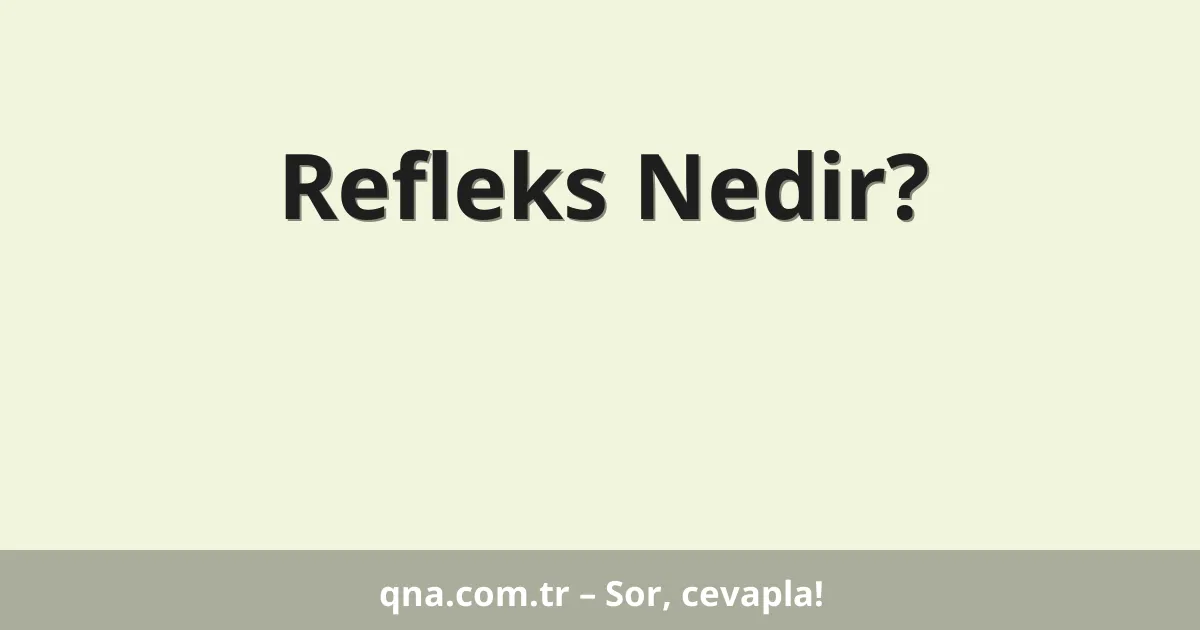 Refleks Nedir?