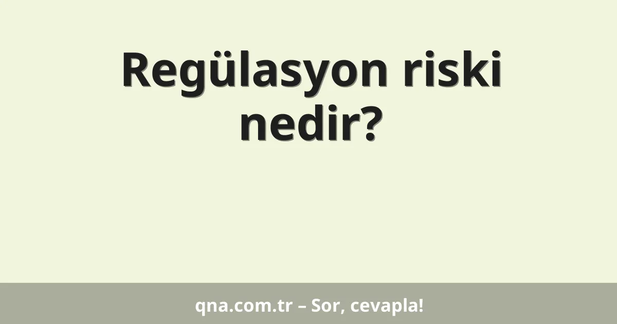 Regülasyon riski nedir?