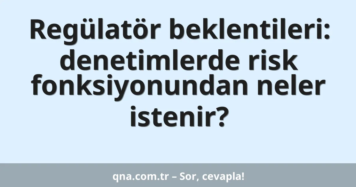 Regülatör beklentileri: denetimlerde risk fonksiyonundan neler istenir?