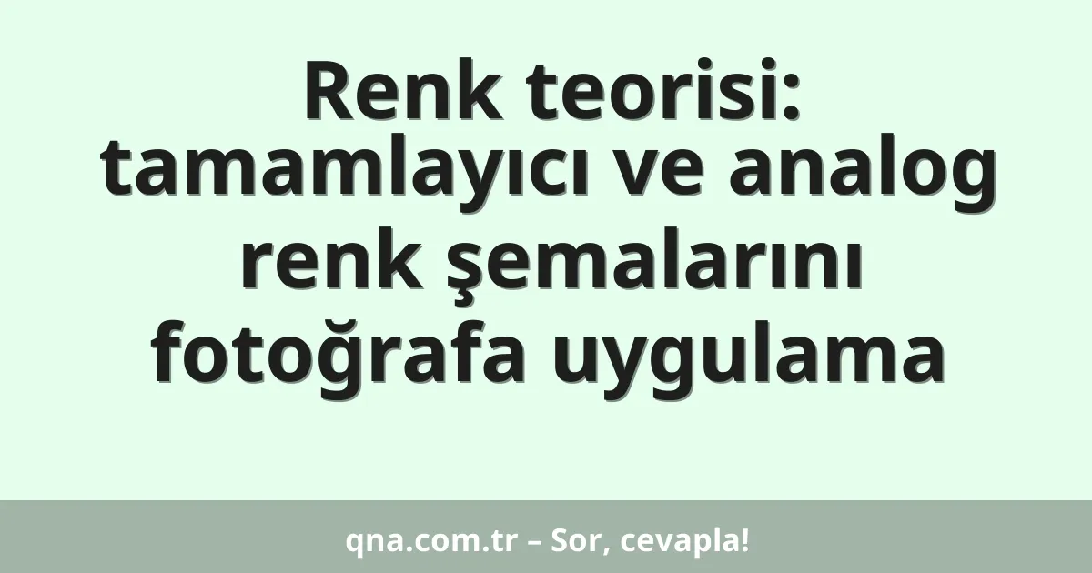 Renk teorisi: tamamlayıcı ve analog renk şemalarını fotoğrafa uygulama