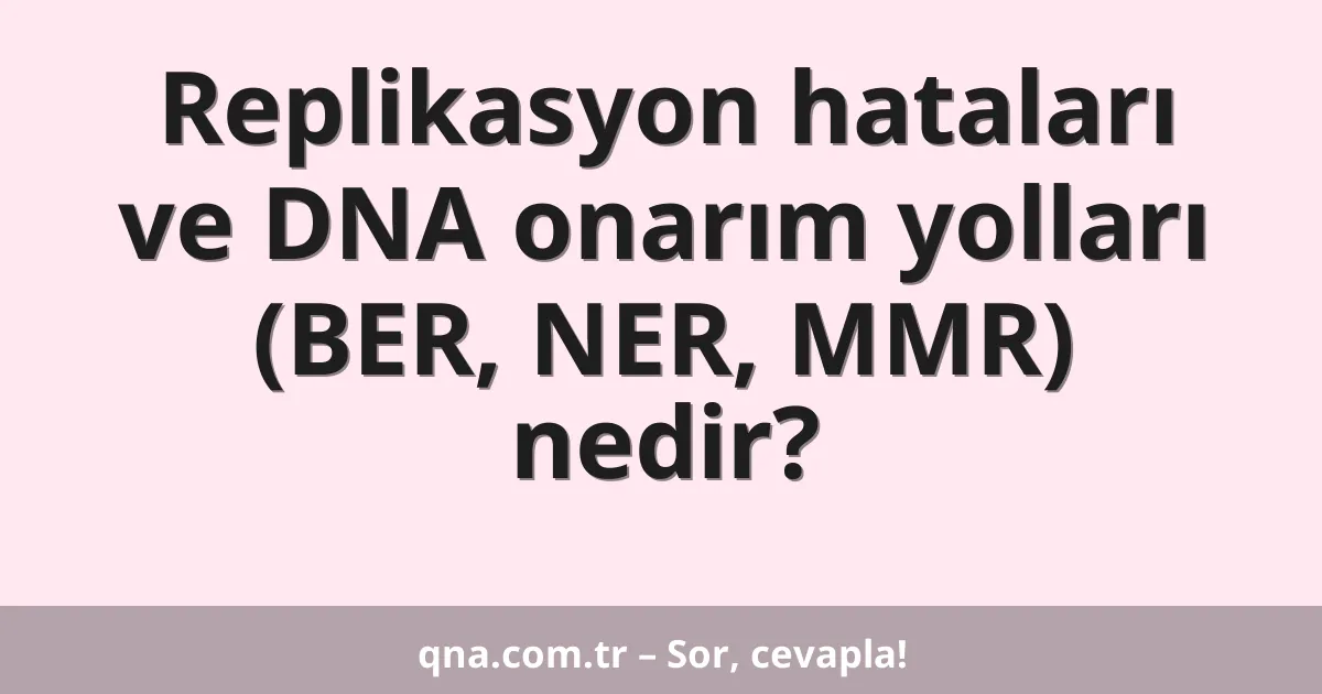Replikasyon hataları ve DNA onarım yolları (BER, NER, MMR) nedir?