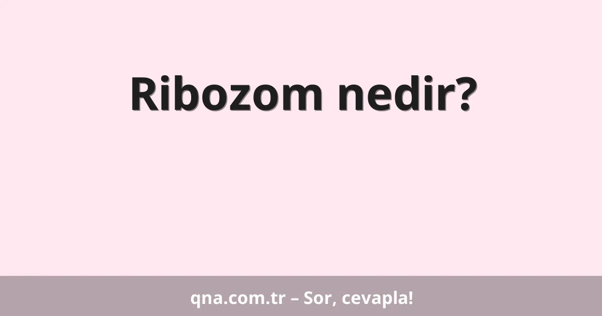 Ribozom nedir?