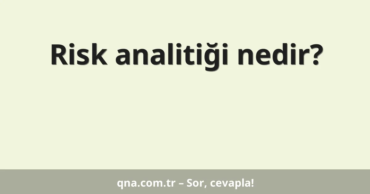 Risk analitiği nedir?