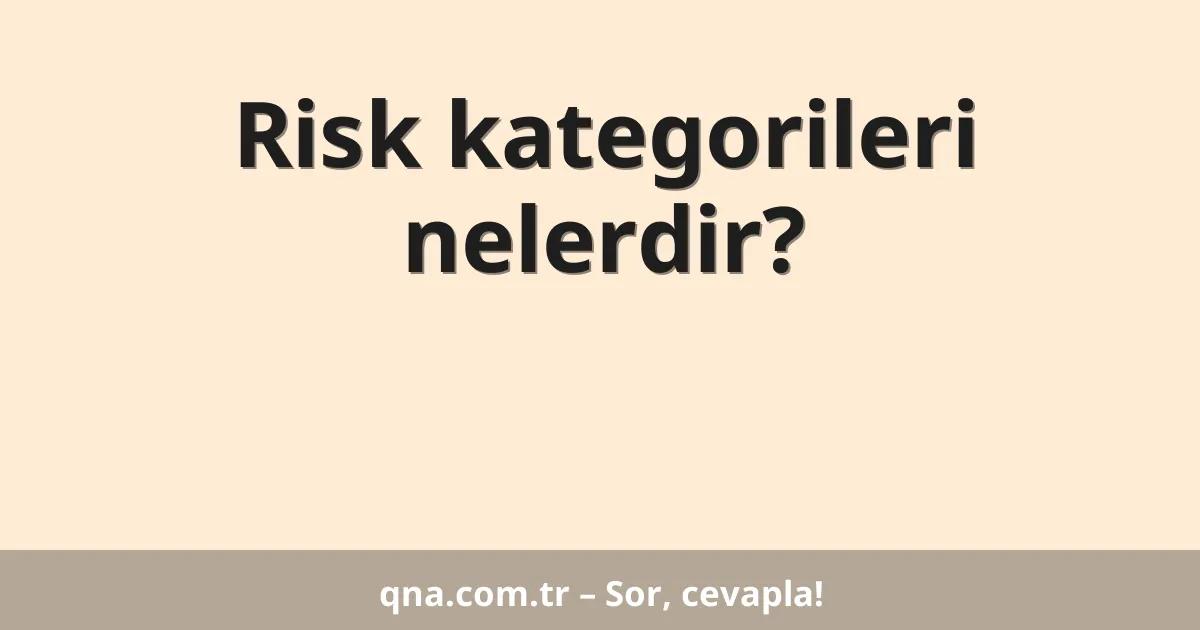 Risk kategorileri nelerdir?