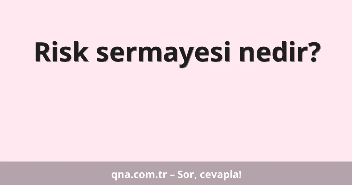 Risk sermayesi nedir?