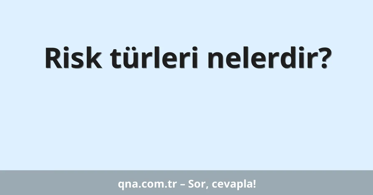 Risk türleri nelerdir?