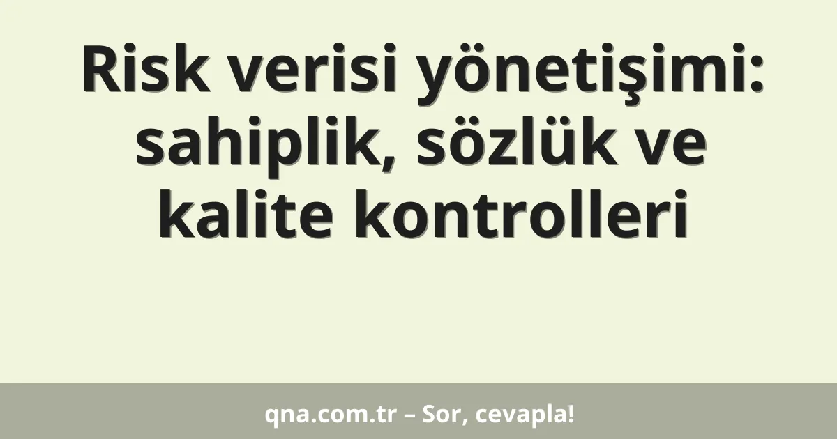Risk verisi yönetişimi: sahiplik, sözlük ve kalite kontrolleri
