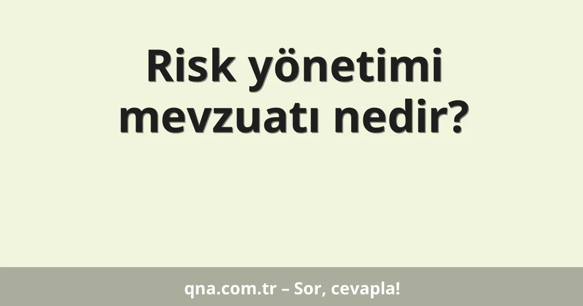 Risk yönetimi mevzuatı nedir?