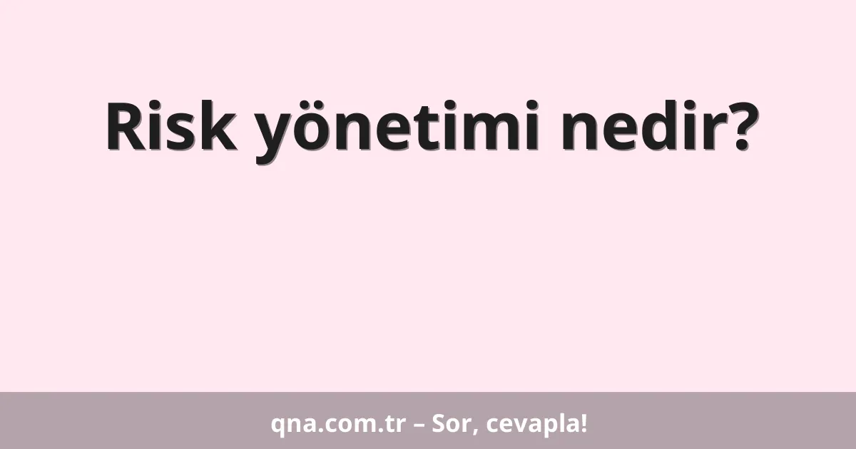 Risk yönetimi nedir?