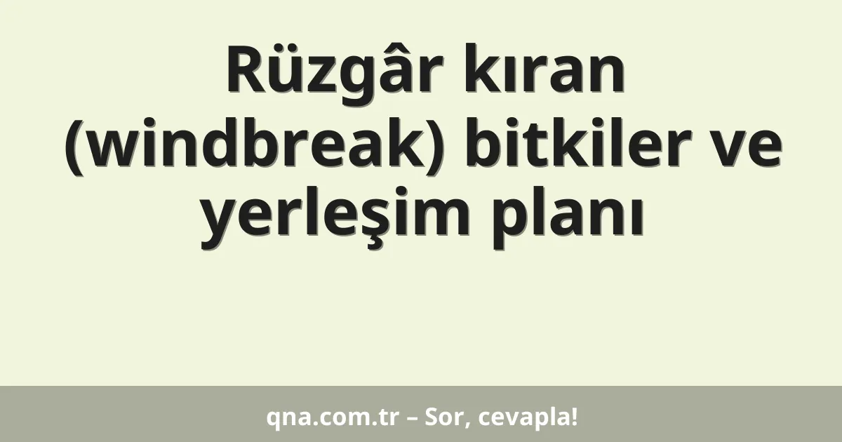 Rüzgâr kıran (windbreak) bitkiler ve yerleşim planı