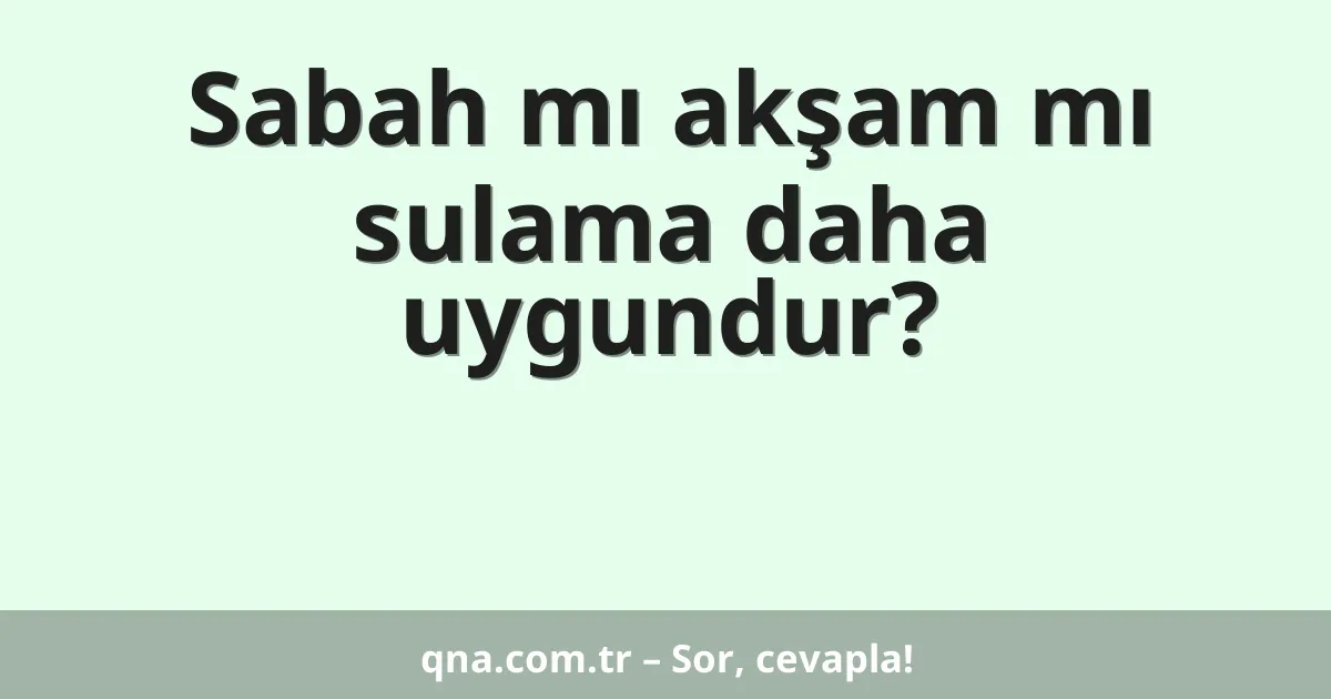 Sabah mı akşam mı sulama daha uygundur?