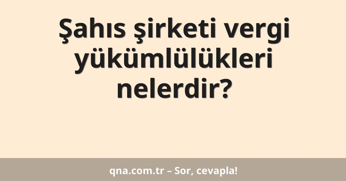 Şahıs şirketi vergi yükümlülükleri nelerdir?