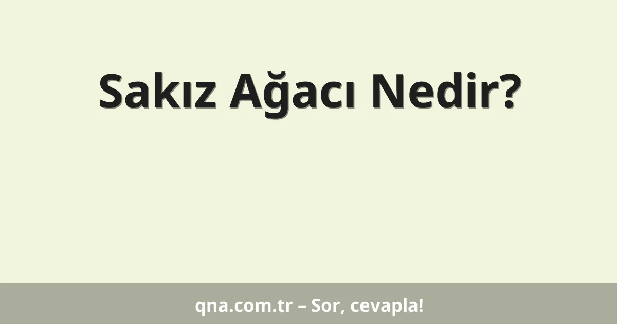 Sakız Ağacı Nedir?