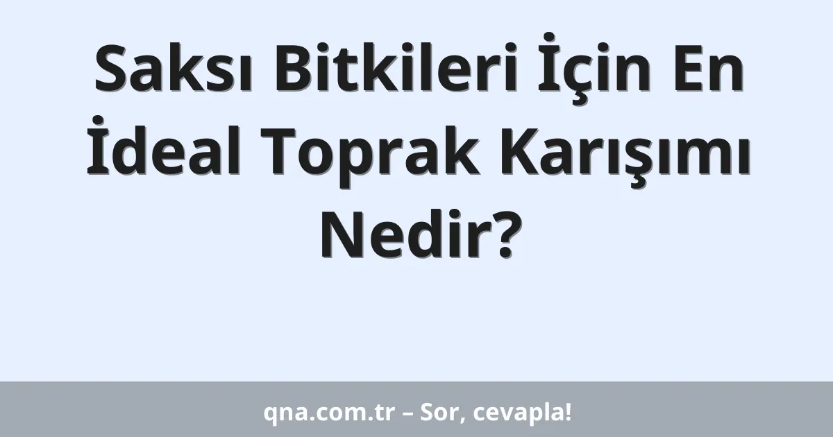 Saksı Bitkileri İçin En İdeal Toprak Karışımı Nedir?