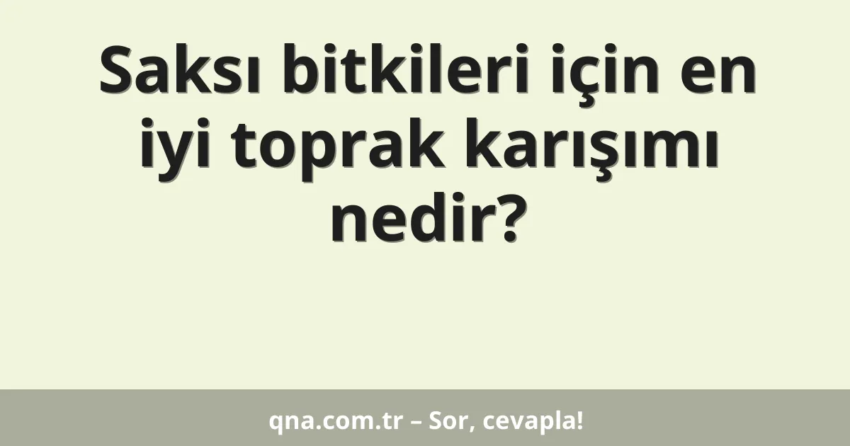 Saksı bitkileri için en iyi toprak karışımı nedir?