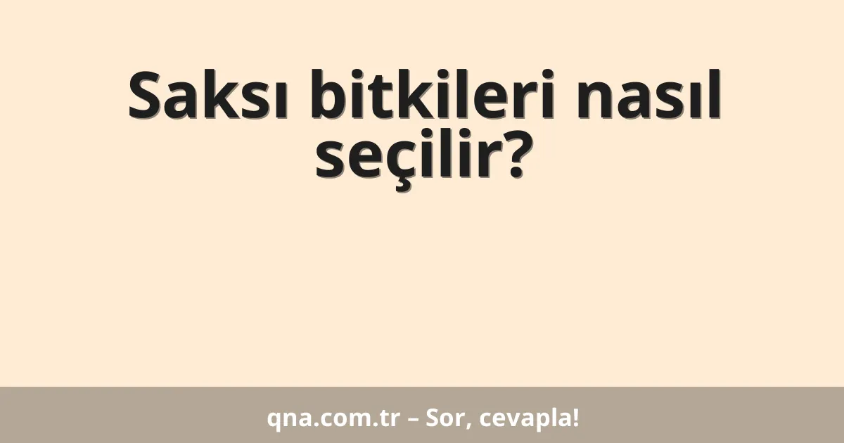 Saksı bitkileri nasıl seçilir?