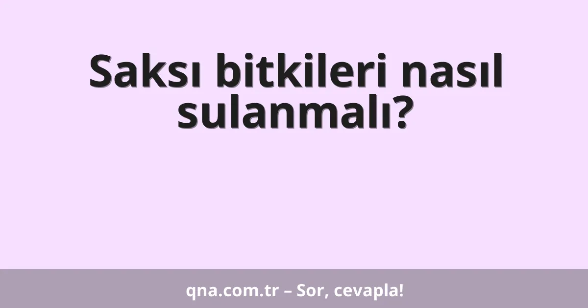 Saksı bitkileri nasıl sulanmalı?
