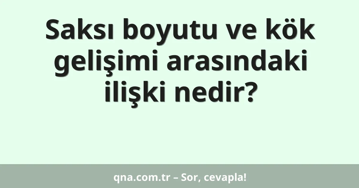 Saksı boyutu ve kök gelişimi arasındaki ilişki nedir?