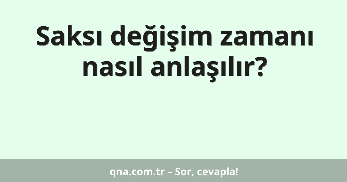 Saksı değişim zamanı nasıl anlaşılır?