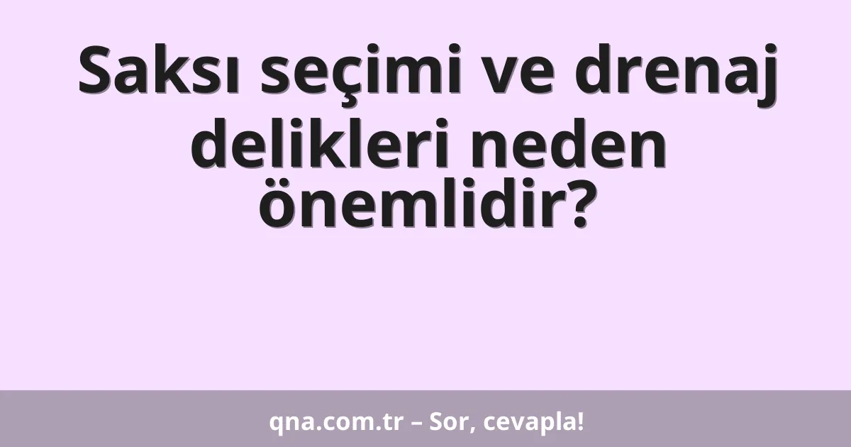 Saksı seçimi ve drenaj delikleri neden önemlidir?