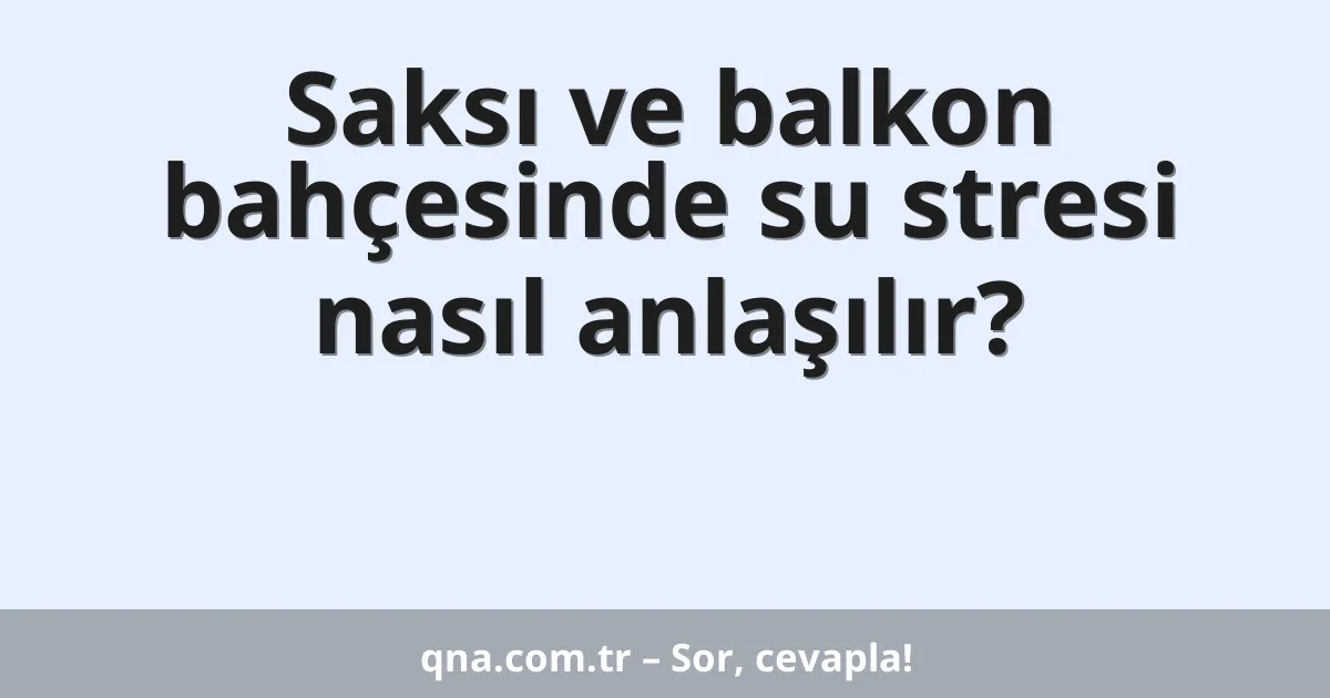 Saksı ve balkon bahçesinde su stresi nasıl anlaşılır?