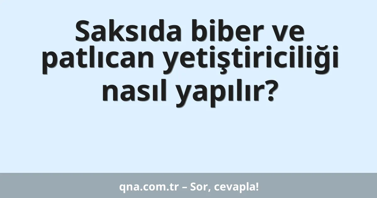 Saksıda biber ve patlıcan yetiştiriciliği nasıl yapılır?